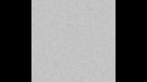 Pelagy Show time 2-10 pm Dubai time zone online show from October 1, 5:40 pm