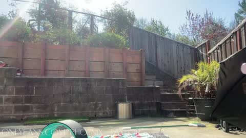 Snapshot of phoenix_taylor chatting on March 8, 7:07 pm PHOENIX TAYLOR online show from March 8, 7:07 pm