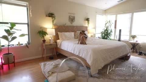 Snapshot of phoenix_taylor chatting on September 25, 12:21 am PHOENIX TAYLOR online show from September 25, 12:21 am