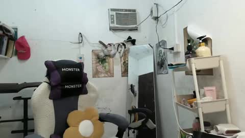 Rose online show from January 16, 8:43 am