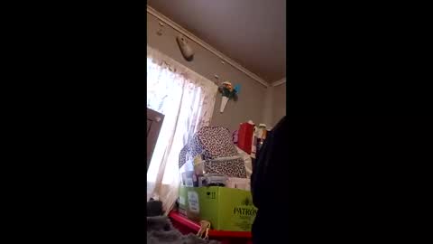 pizzedwife online show from February 16, 8:09 pm