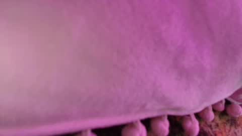 Sophy online show from February 22, 5:34 am