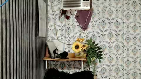 JOY online show from October 11, 11:51 pm