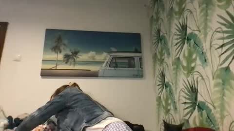 Redfox online show from November 29, 10:52 am