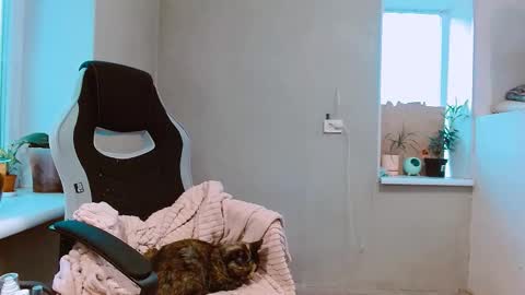 Snapshot of rosa843850 chatting on October 4, 2:11 pm rosa843850 online show from October 4, 2:11 pm