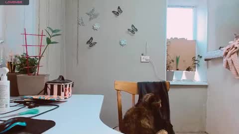 Snapshot of rosa843850 chatting on February 2, 2:13 pm rosa843850 online show from February 2, 2:13 pm