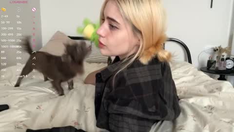  - my telegram channel online show from November 14, 6:46 am