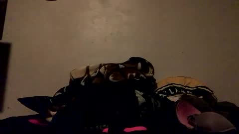 roxxybay online show from December 13, 2:27 pm