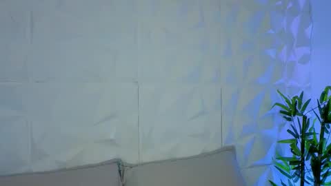 rynka online show from November 28, 5:21 am