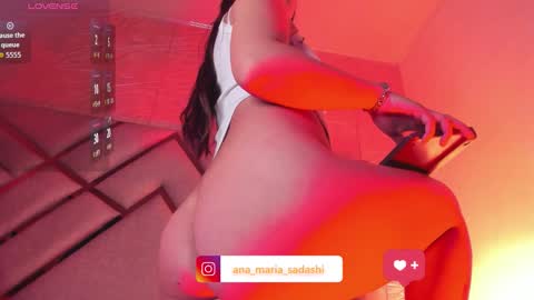    online show from November 8, 6:18 am