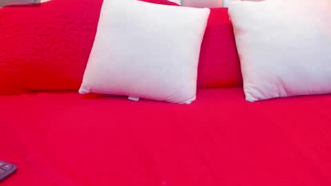 salome online show from November 14, 6:08 pm