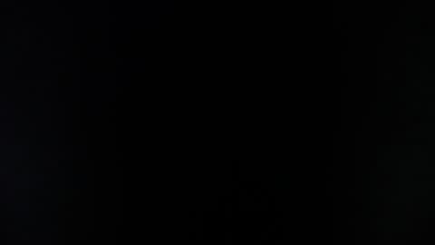 Sara online show from February 15, 11:20 am