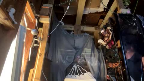 Snapshot of saracan7 chatting on October 26, 5:47 am Sarrah Sweet online show from October 26, 5:47 am