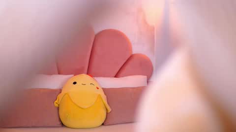 Foxi online show from December 19, 7:11 am