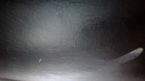 Sunny online show from November 11, 3:53 pm