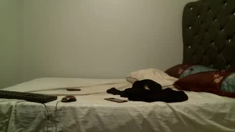 Snapshot of shiro254 chatting on October 26, 8:04 pm Shi-ro online show from October 26, 8:04 pm