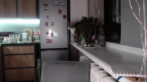 Sofi online show from February 8, 7:27 pm