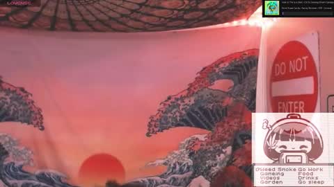 Saffron online show from January 1, 1:04 am