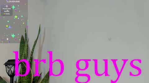 sophia_ebony___ online show from November 12, 5:55 pm