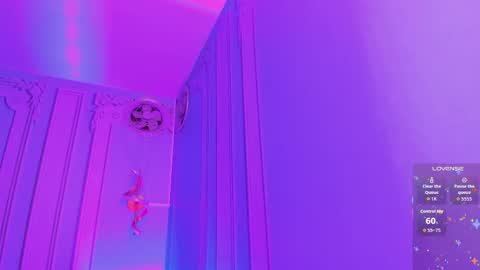         online show from November 12, 2:31 am