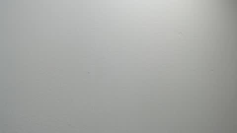 sussy leon online show from February 11, 12:15 pm