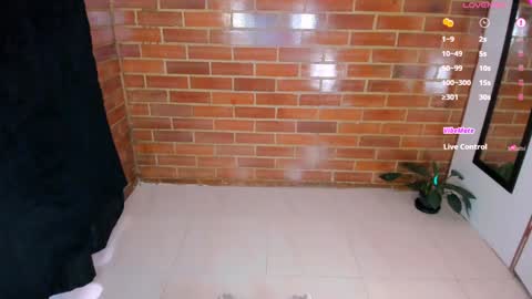 Stephanie online show from February 8, 2:27 pm