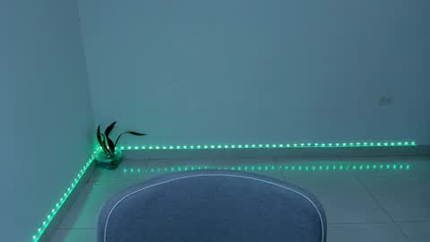 Anie online show from December 30, 3:47 am