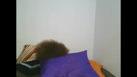 NASHA online show from February 25, 4:46 pm