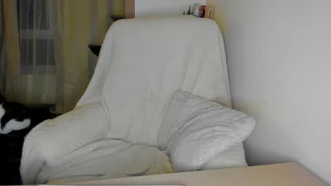 Antonia online show from January 5, 8:31 pm