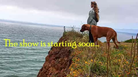 TATUM  ALL MY LINKS  online show from February 7, 12:25 am