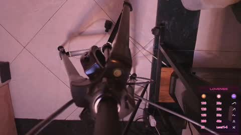 Terra Elowen online show from November 4, 11:26 am