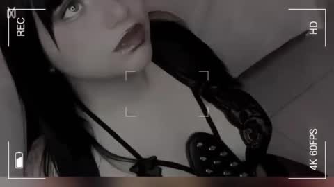 i am Cat  online show from November 4, 1:16 pm