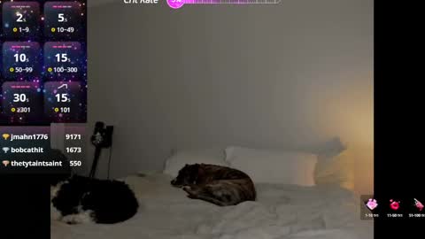 Selina Kyle online show from January 25, 4:13 am