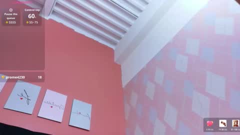 SOFIA online show from February 27, 1:33 pm