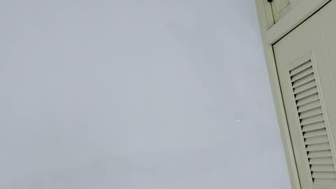 tifanymonroehot online show from November 13, 10:47 am