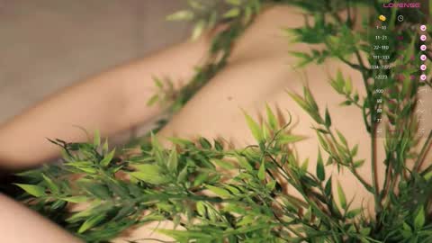 Toshi online show from October 29, 1:04 pm