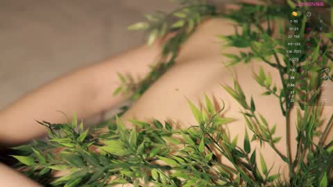 Toshi online show from February 10, 1:01 pm