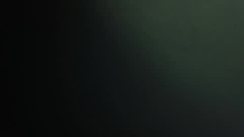 ALINA online show from November 5, 7:08 pm