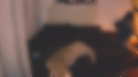 Snapshot of valorant_girl chatting on December 7, 3:08 pm Little Devil online show from December 7, 3:08 pm