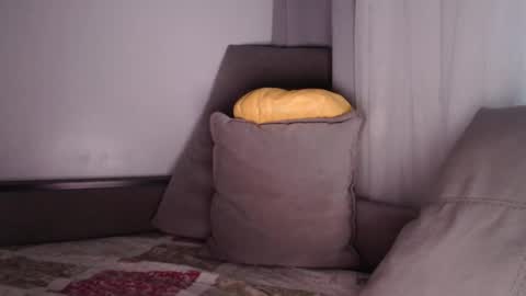 velvetmoon123 online show from November 24, 2:19 pm