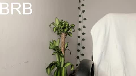 Vianka online show from February 24, 2:38 am