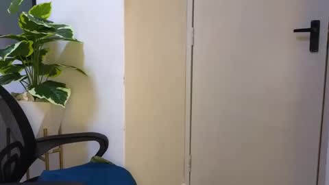 Ashley online show from February 9, 9:05 am