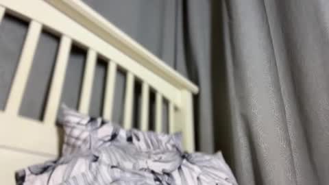 Maggie online show from December 3, 4:09 pm