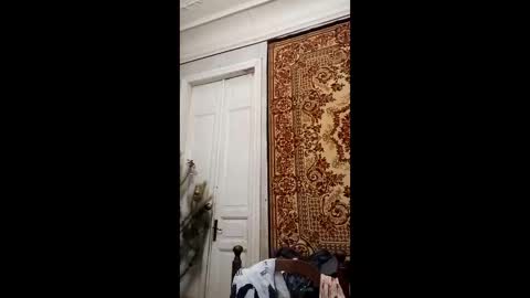 Snapshot of webgirl2 chatting on February 26, 4:16 pm Marina online show from February 26, 4:16 pm