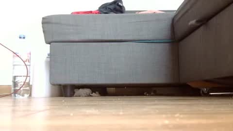 wet_pants2022 online show from October 22, 11:37 am