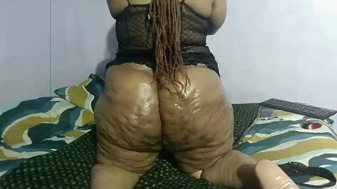 wilmaassylum online show from March 1, 6:46 am