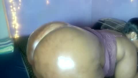 wilmaassylum online show from November 12, 6:55 am