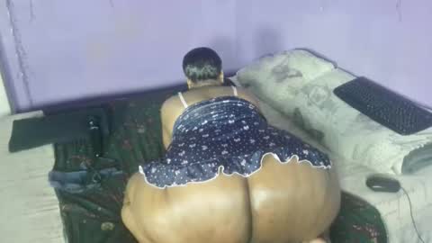 wilmaassylum online show from September 21, 6:34 am