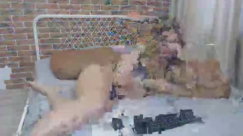 Kristina online show from December 17, 9:07 am