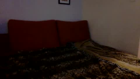 3 online show from December 2, 7:10 am